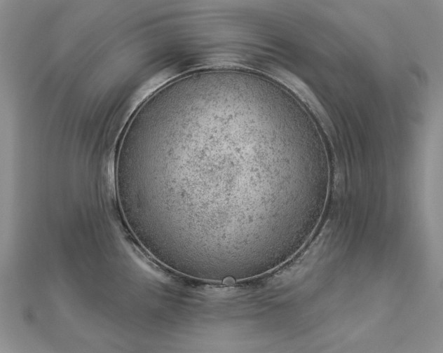 X0000112781242200908271656