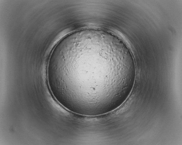 X0000112781243200908271656