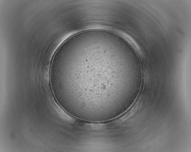 X0000112781244200908271656