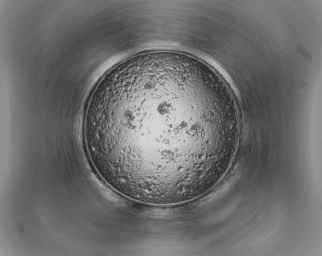 X0000112781245200908271656