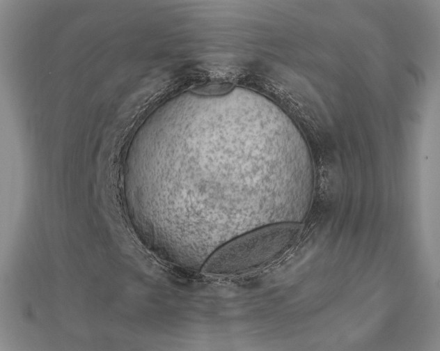 X0000112781249200908271656