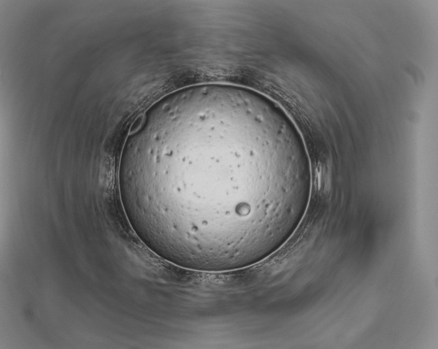 X0000112781251200908271656