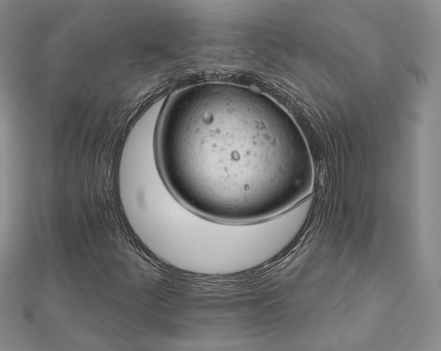 X0000112781252200908271656