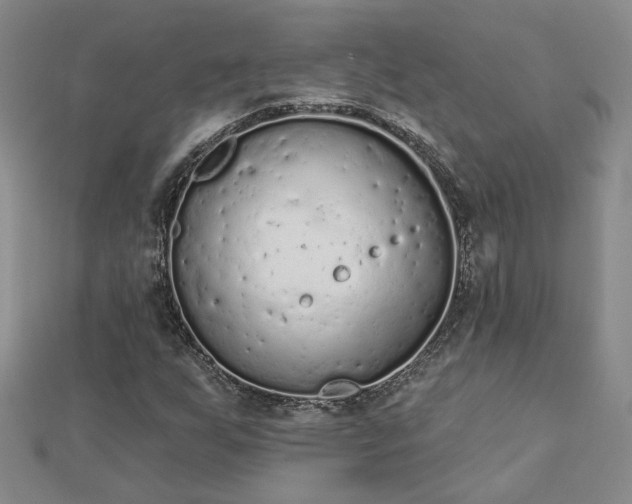 X0000112781255200908271656