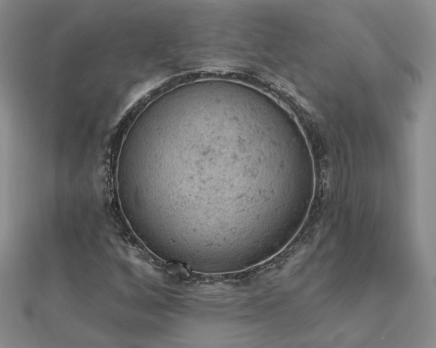 X0000112781256200908271656