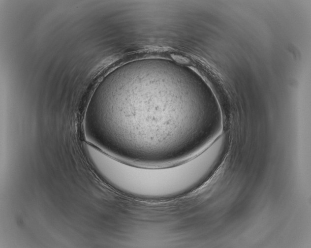 X0000112781257200908271656