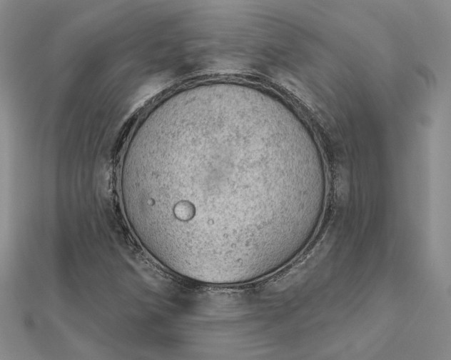 X0000112781258200908271656