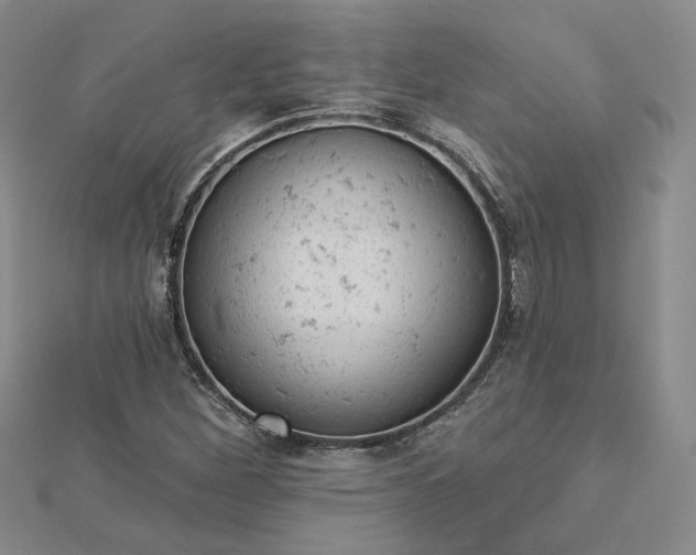 X0000112781260200908271656