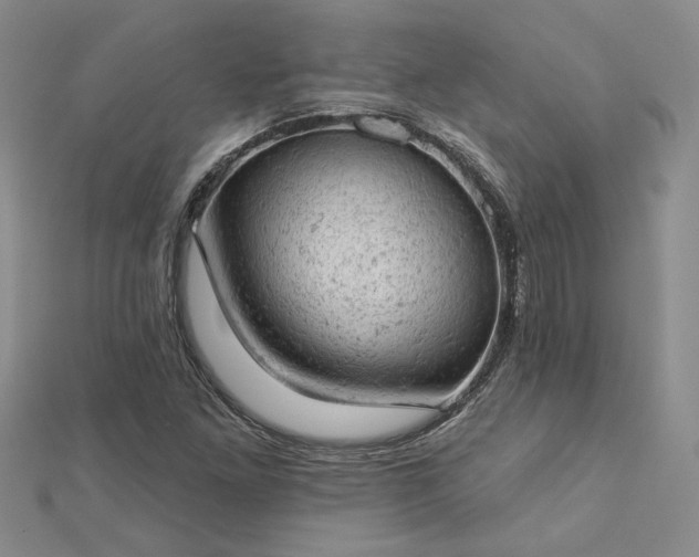 X0000112781261200908271656