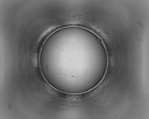 X0000112781262200908271656