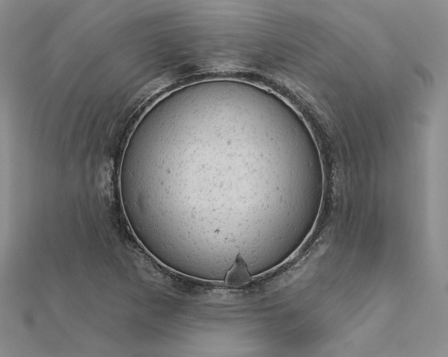 X0000112781265200908271656