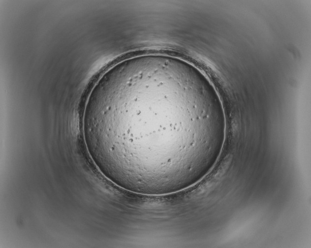 X0000112781267200908271656