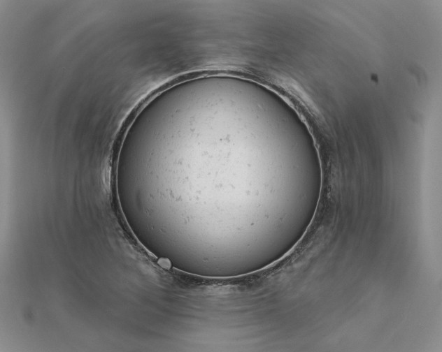 X0000112781268200908271656