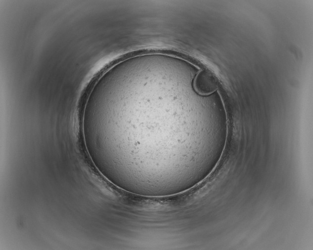 X0000112781270200908271655