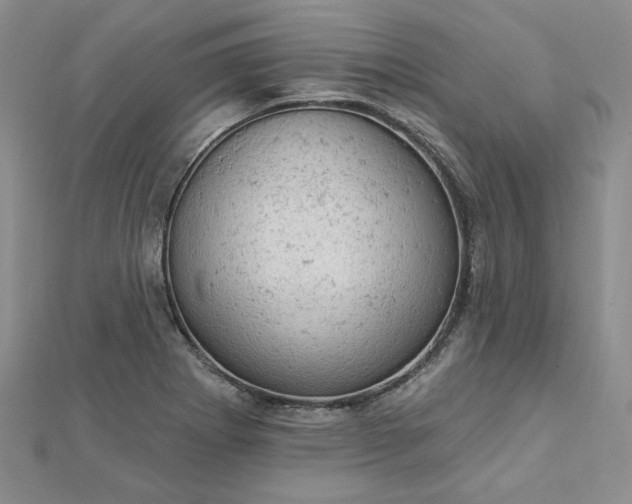 X0000112781273200908271655