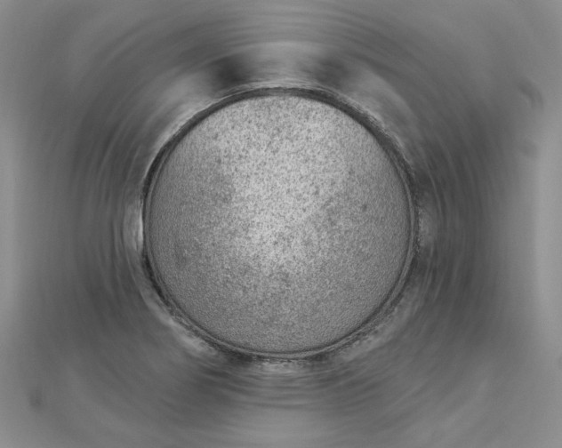 X0000112781274200908271655