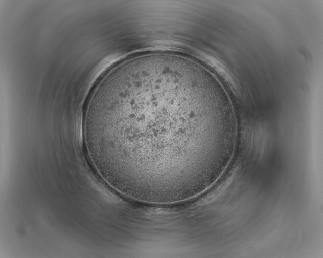 X0000112781275200908271655