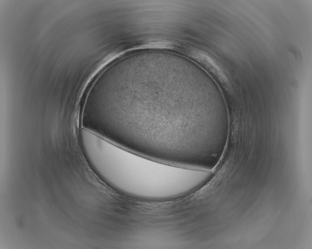 X0000112781276200908271655