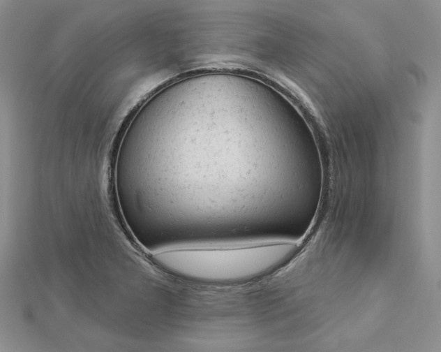 X0000112781277200908271655