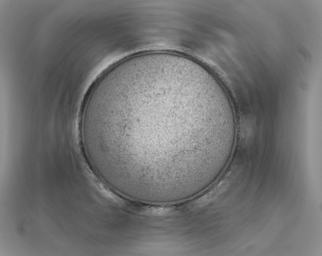 X0000112781278200908271655