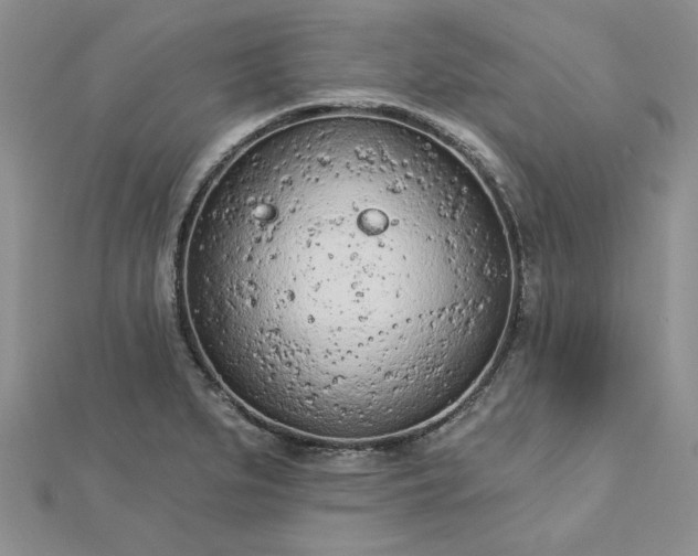 X0000112781279200908271655