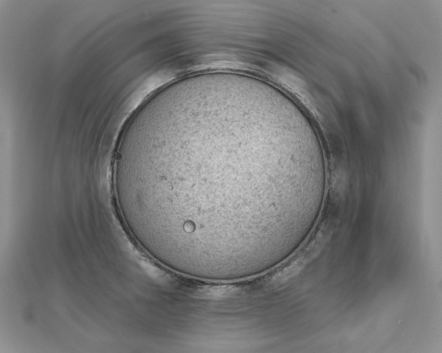 X0000112781282200908271655