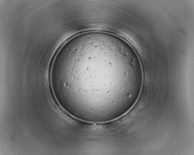 X0000112781283200908271655