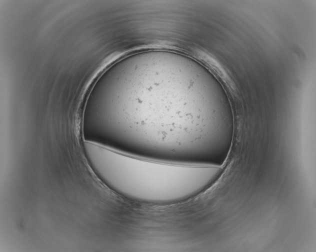 X0000112781284200908271655