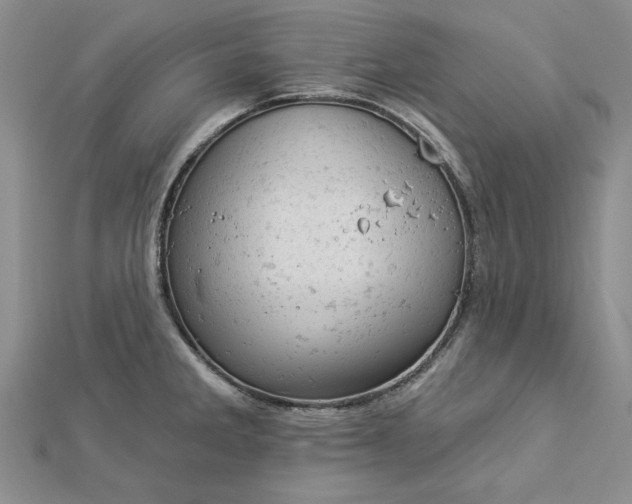 X0000112781285200908271655