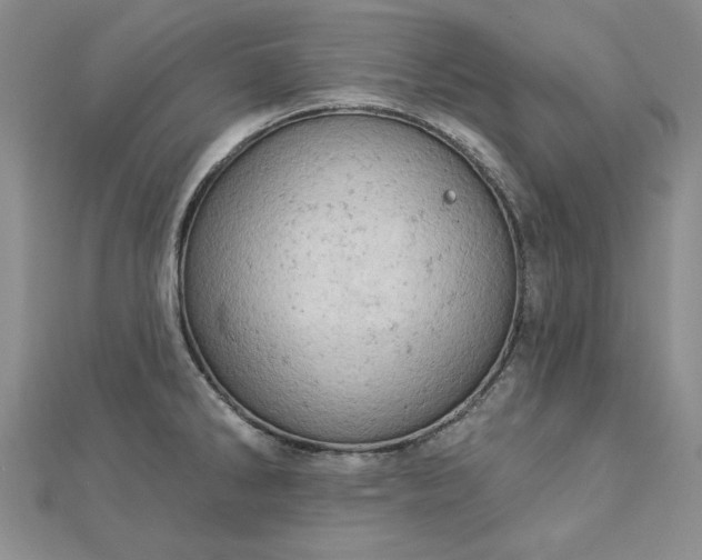 X0000112781286200908271655