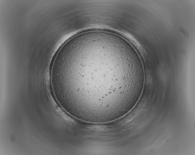 X0000112781287200908271655