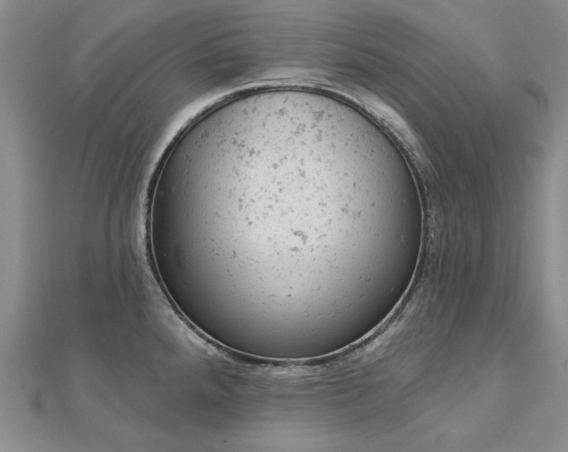 X0000112781288200908271655