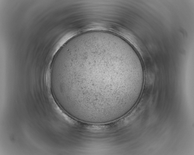 X0000112781290200908271655