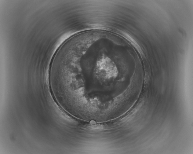 X0000112781291200908271655