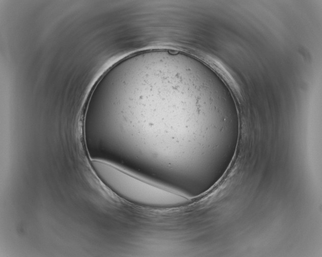 X0000112781292200908271655