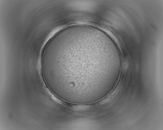 X0000112781294200908271655