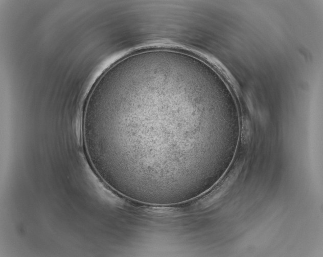 X0000112781295200908271655