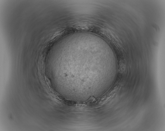 X0000112781297200908271655