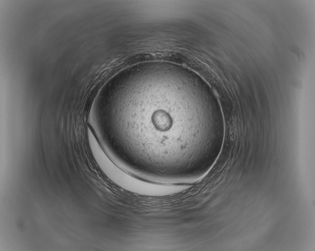 X0000112781298200908271655