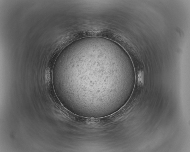 X0000112781299200908271655