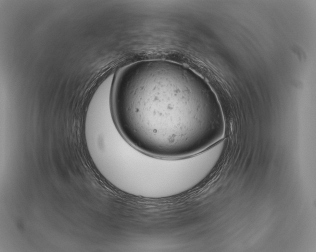 X0000112781300200908271655