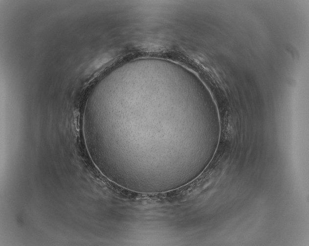 X0000112781301200908271655