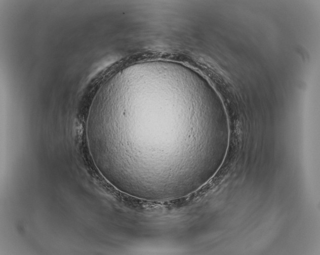 X0000112781302200908271655