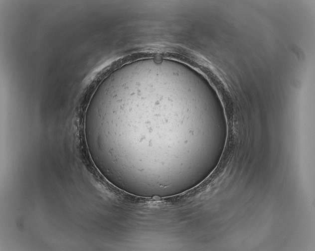 X0000112781304200908271655