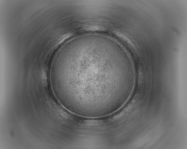 X0000112781305200908271655