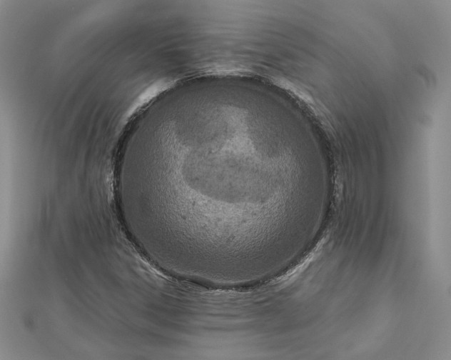 X0000112781306200908271655