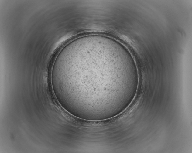 X0000112781307200908271655