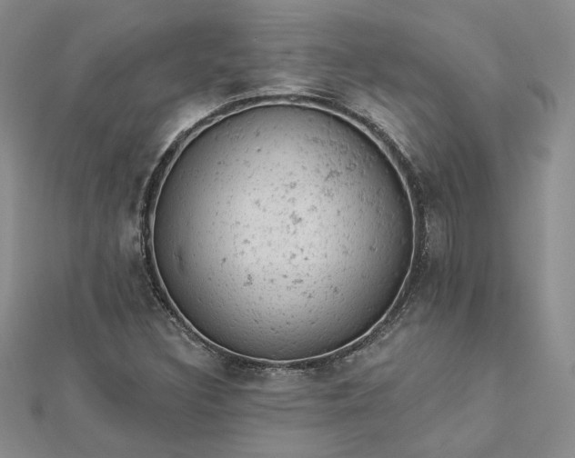 X0000112781308200908271655