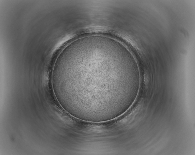 X0000112781309200908271655