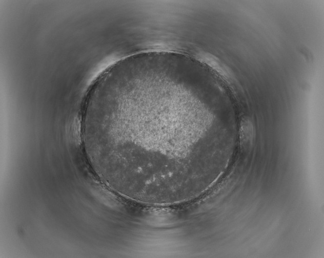 X0000112781310200908271655